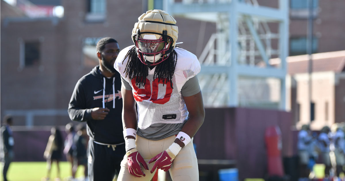 Florida State freshman defensive end Jaemin Pinckney. (Gene Williams/Warchant)
