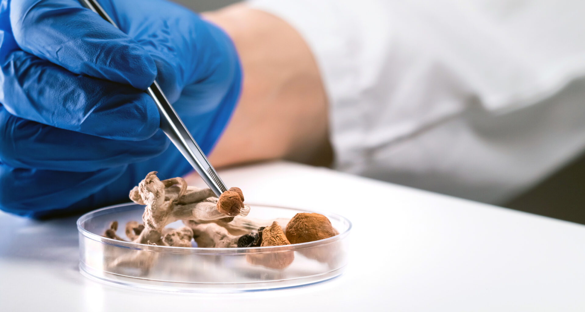 Psilocybin-containing magic mushooms science