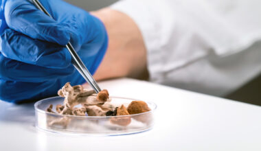 Psilocybin-containing magic mushooms science