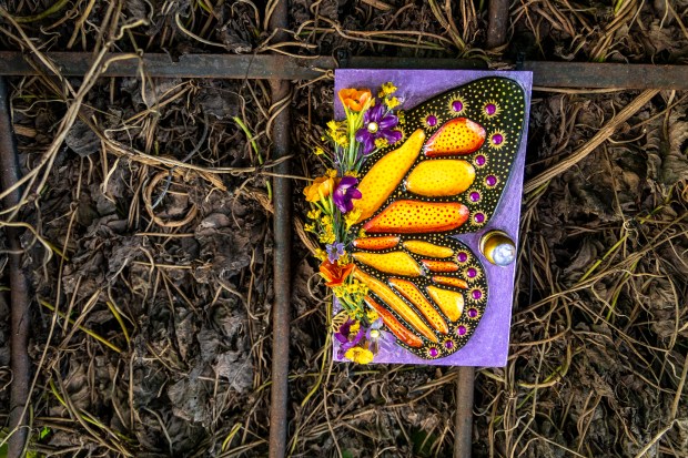 A door belongs to Elida, the butterfly fairy, during the Fairy Doors exhibit at Leu Gardens in 2022. (Patrick Connolly/Orlando Sentinel)