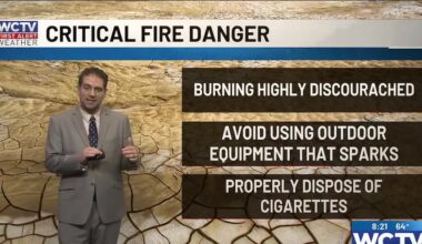 Winds bring critical fire danger to start your weekend for Tallahassee, the Big Bend