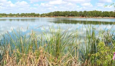 Rosser Lakes Preserve in Port St. Lucie offers fishing, walking, biking trails for outdoor enthusiasts