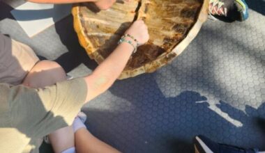 Refuge provides update on WoW - SANIBEL-CAPTIVA