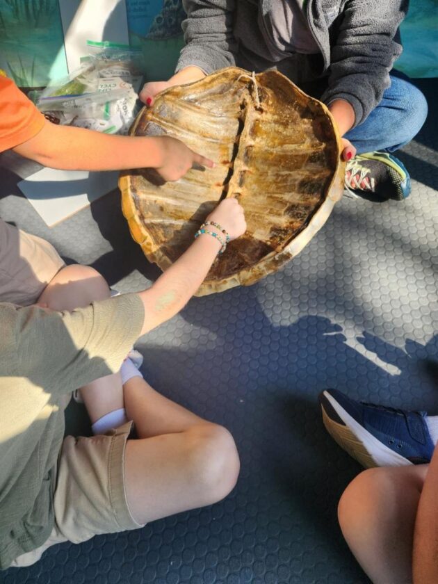 Refuge provides update on WoW - SANIBEL-CAPTIVA