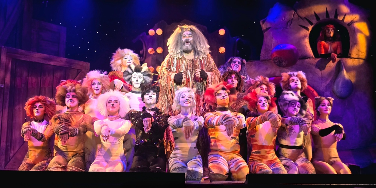 CATS at Broadway Palm Dinner Theatre