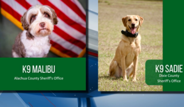 Voting closes for 1st round of Florida Sheriff’s Association’s K-9 March Madness Tournament