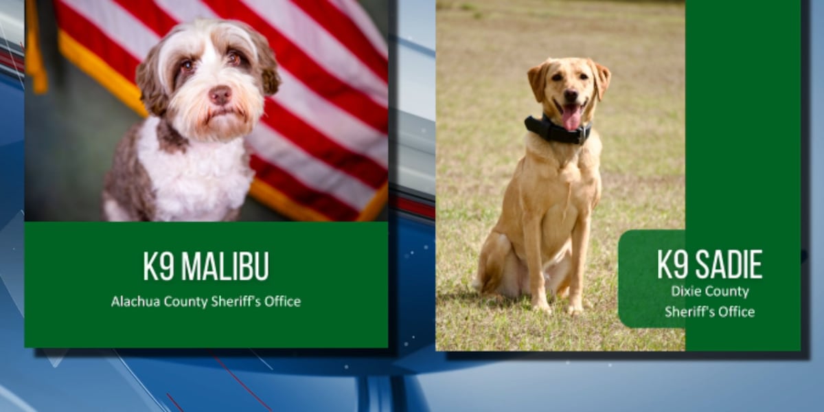 Voting closes for 1st round of Florida Sheriff’s Association’s K-9 March Madness Tournament