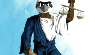 SG committees decide March Osprey Voice topic, approve requests, propose title revisions