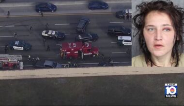 Bond set for woman accused in fatal Turnpike chase and crash in Broward