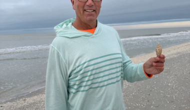 Junonia, cones found on Sanibel - SANIBEL-CAPTIVA