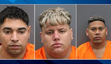 3 arrested after reported kidnapping in Hillsborough County