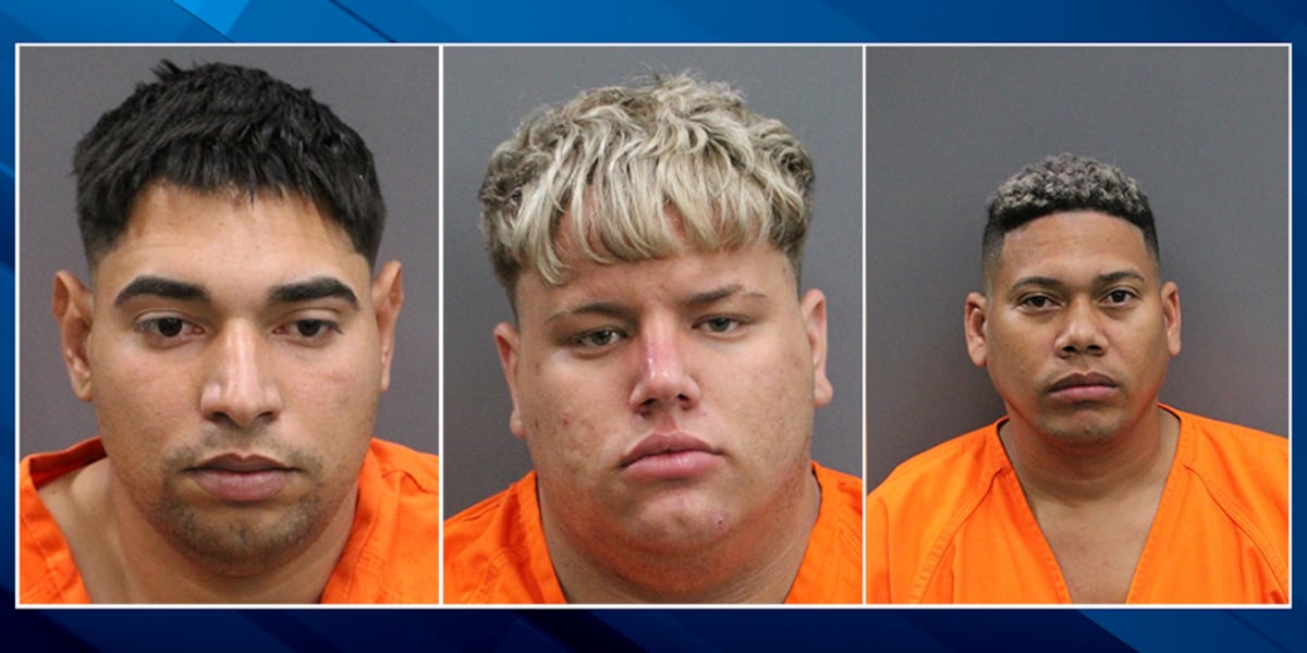 3 arrested after reported kidnapping in Hillsborough County