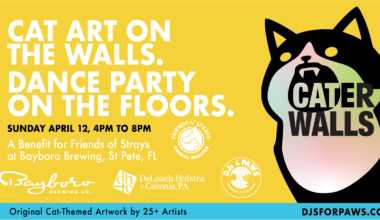 “Caterwalls” &; Dance Party - St Pete Catalyst