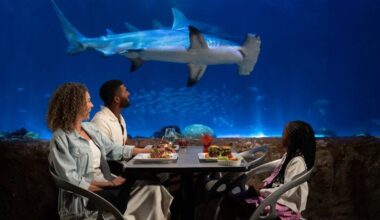 Best Theme Park Restaurant