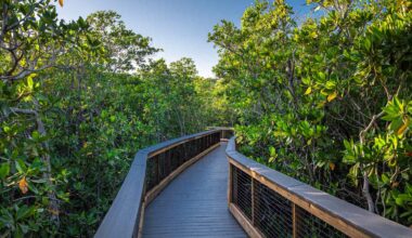 12 Best Florida State Parks, According to a Local