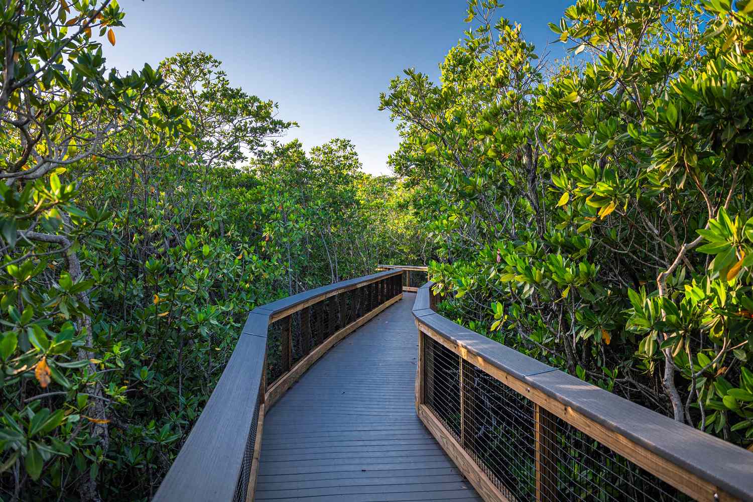 12 Best Florida State Parks, According to a Local