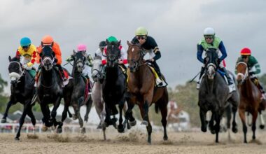 2026 Tampa Bay Derby Cheat Sheet