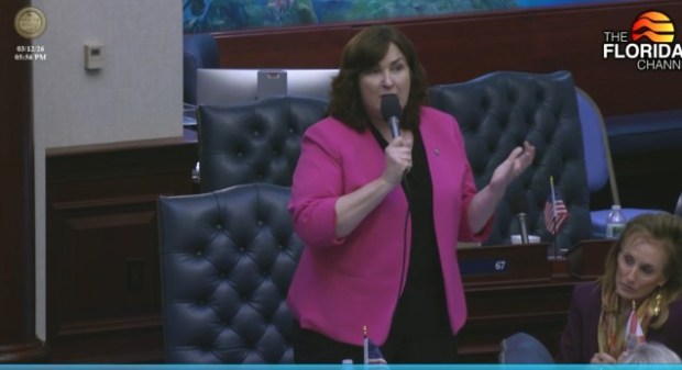 State Rep. Christine Hunschofsky, D-Parkland, argues against legislation that would make several changes in Florida election law during a House debate on Thursday, March 12, 2026. (Florida Channel/courtesy)