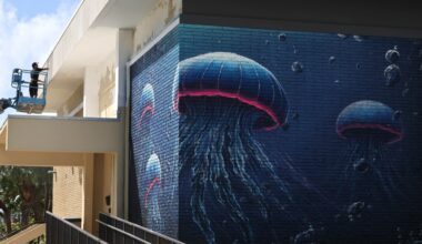 Love jellyfish? New museum coming to Pompano Beach is for you