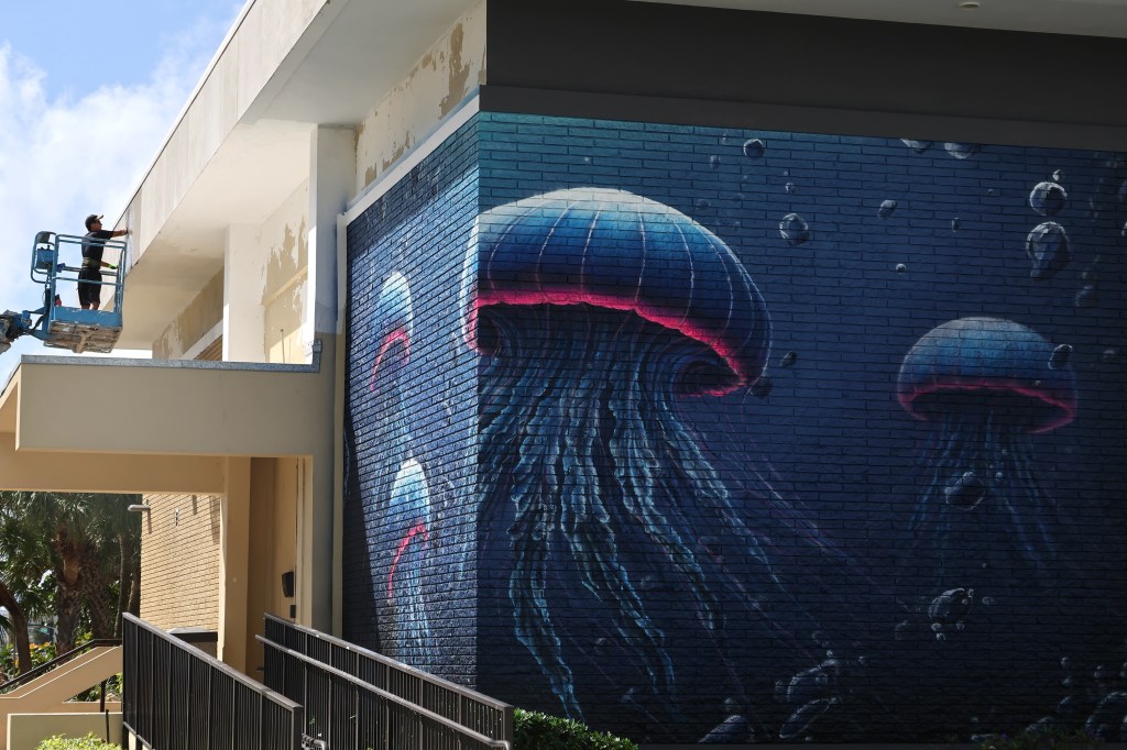 Love jellyfish? New museum coming to Pompano Beach is for you