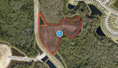 Lake P&Z recommend denial of Serenoa self-storage facility