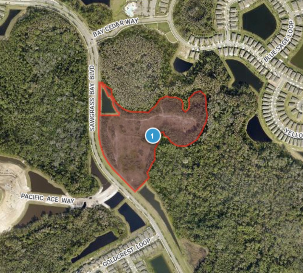 Lake P&Z recommend denial of Serenoa self-storage facility