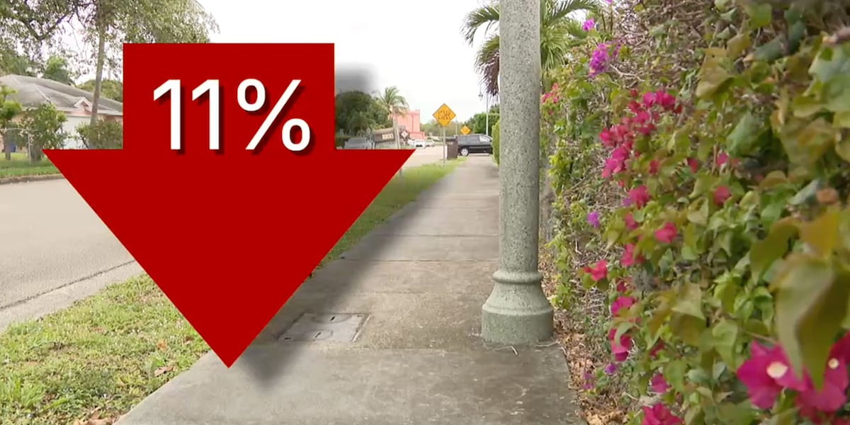 Homeowners tell WPTV their insurance premiums dropped as market improves