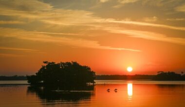 DeSantis signs bill blocking new cruise terminal on Tampa Bay’s southern shore – Sun Sentinel