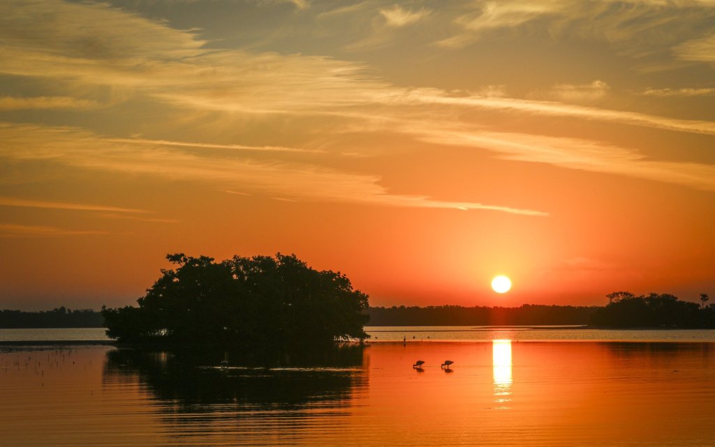 DeSantis signs bill blocking new cruise terminal on Tampa Bay’s southern shore – Sun Sentinel