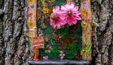 Fairy Doors set to return, bringing magic to Leu Gardens