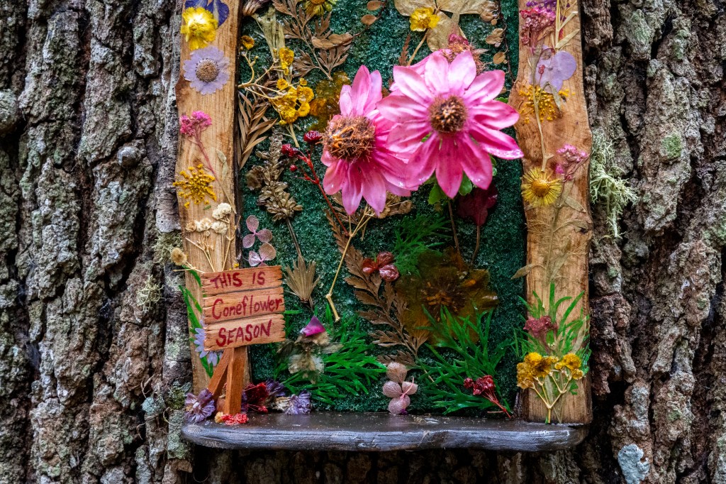 Fairy Doors set to return, bringing magic to Leu Gardens
