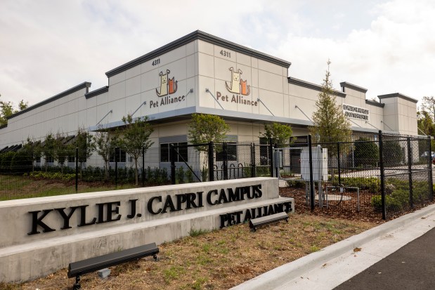 Pet Alliance has a new $15 million, 25,000-square-foot shelter on South John Young Parkway on March 25, 2026. (Patrick Connolly/Orlando Sentinel)