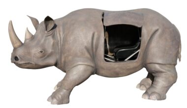 Ripley buys rhino prop from Jim Carrey 'Ace Ventura' movie