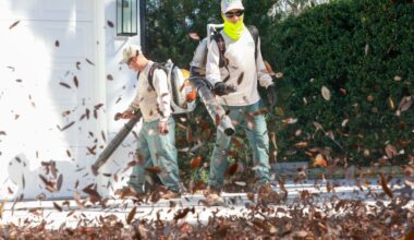 Gas leaf blowers are noisy and environmentally risky – Orlando Sentinel