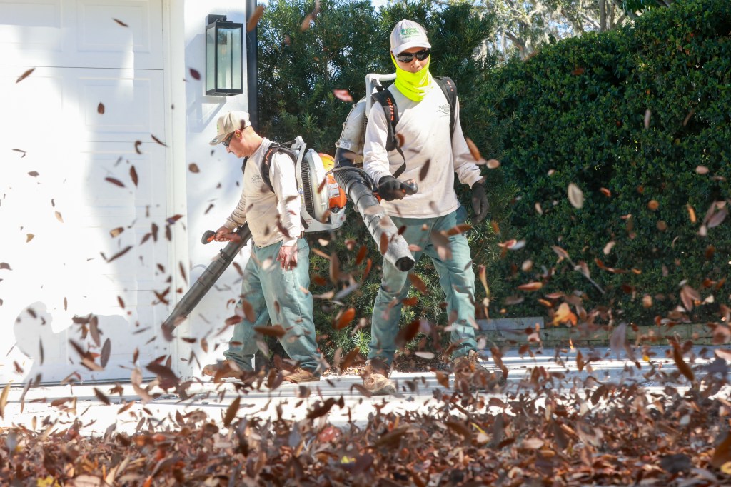 Gas leaf blowers are noisy and environmentally risky – Orlando Sentinel