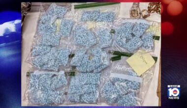 Feds arrest 5 after $16,000 undercover fentanyl deal ends 2-year probe in Broward, records show