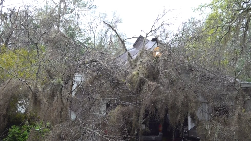 Damage to Mike Decker's Crawfordville property from the severe storms on Monday morning. 