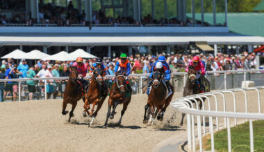 A group of Thoroughbreds gallop powerfully around a turn on a sunny day in front of the grandstand at Tampa Bay Downs, which is crowded with onlookers. (Photo Courtesy Tampa Bay Downs, Inc.’ Facebook page (@TampaBayDownsFL).)