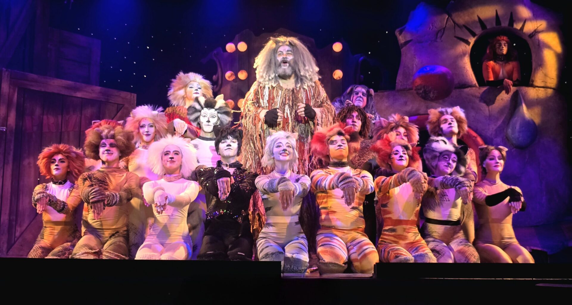 From stray to spotlight: “CATS” finds belonging at Broadway Palm