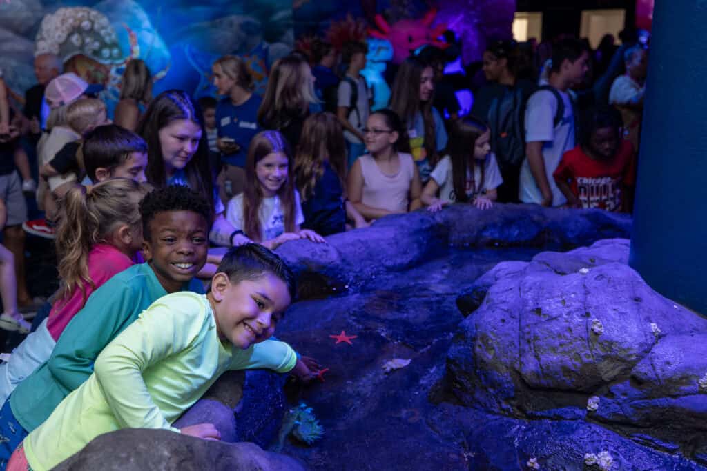 Kids at an aquarium