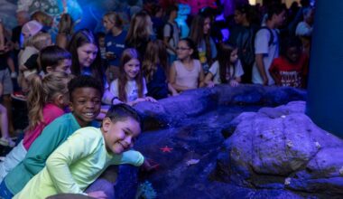 Meet Rare Animals at Florida Aquarium's Spring Break Adventure