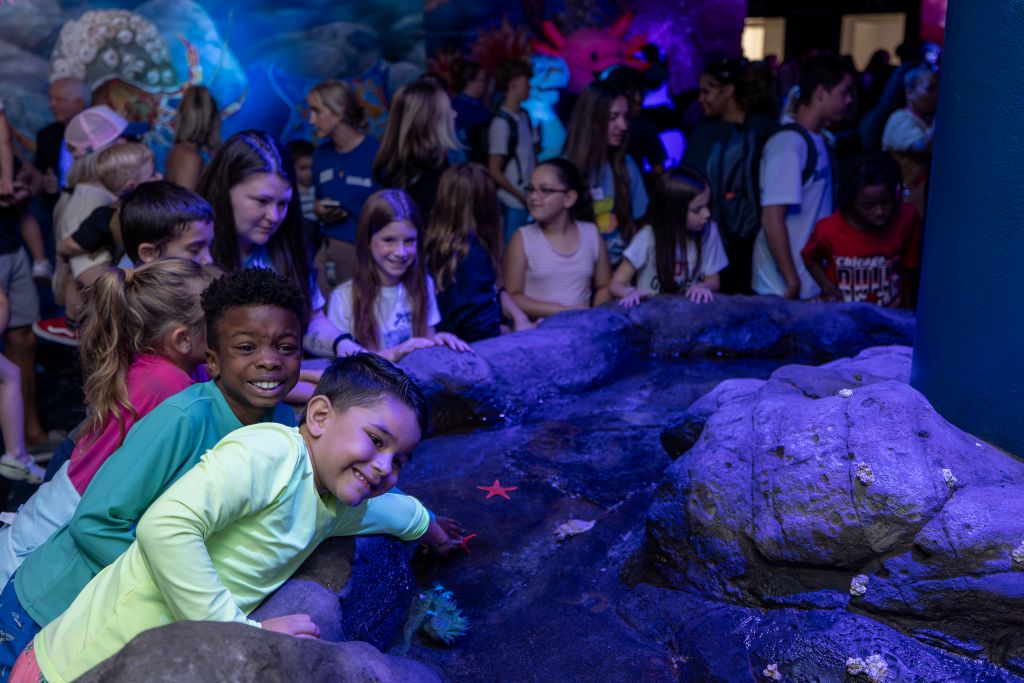 Meet Rare Animals at Florida Aquarium's Spring Break Adventure