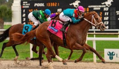 The Puma earns 50 Derby points with Tampa Bay Derby stunner