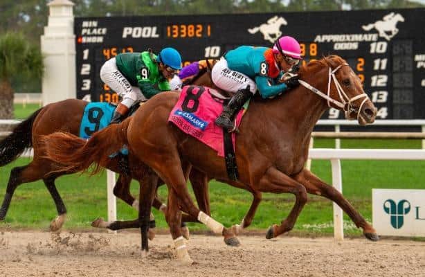 The Puma earns 50 Derby points with Tampa Bay Derby stunner