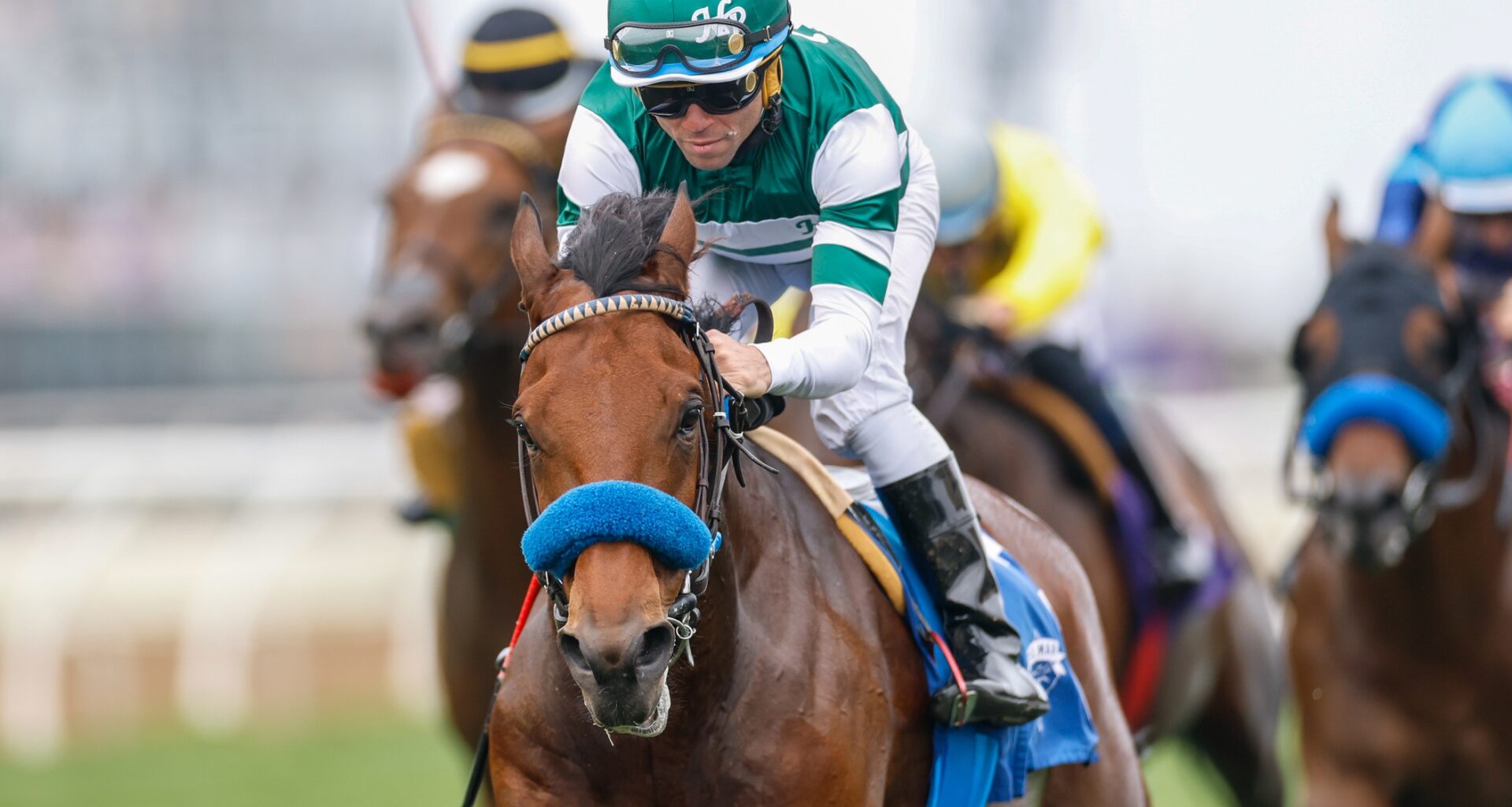 Daily Racing Form (DRF)