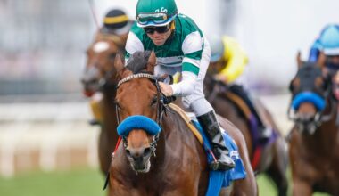 Daily Racing Form (DRF)