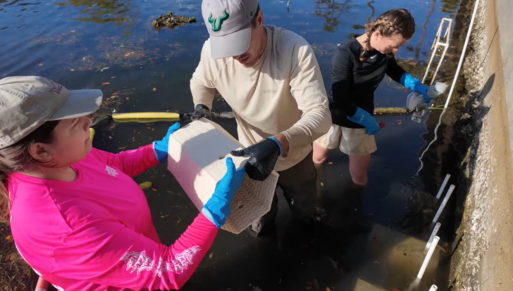 USF helping restore Tampa Bay oysters by 3D-printing habitats