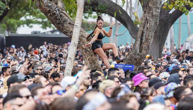 A woman climbs a tree to watch Armin van Buuren perform during Ultra Music Festival’s 25th anniversary at Bayfront Park on Saturday, March 29, 2025, in downtown Miami, Fla.