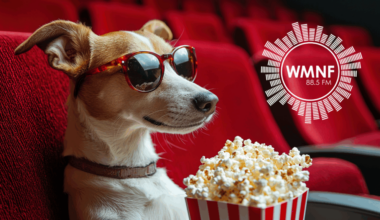 Things to do in Tampa Bay this weekend