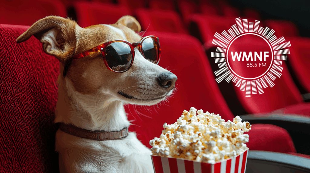 Things to do in Tampa Bay this weekend